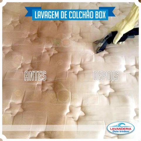 Lavagem Domstica/Casa